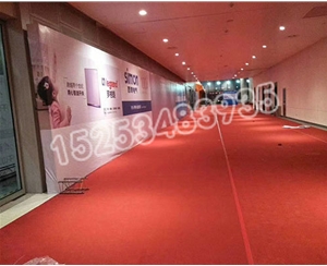 上海上海展览地毯